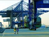 天津海运港对未来增长保持谨慎乐观